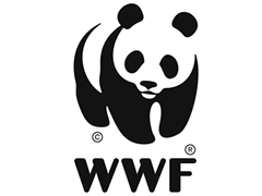 WWF