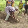 JVE accompagne l’autonomisation et la résilience des groupements de femmes au Togo